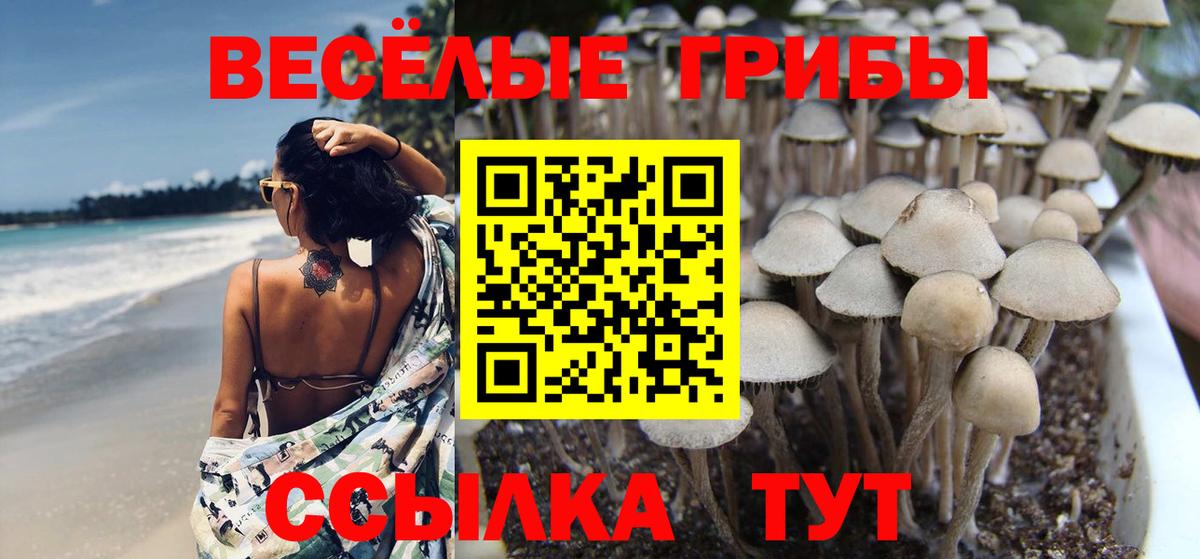 Псилоцибиновые грибы Magic Shrooms  Псилоцибиновые грибы Psilocybine cubensis  Октябрьский  Вход с VPN 