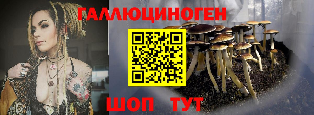 Галлюциногенные грибы прущие грибы Октябрьский